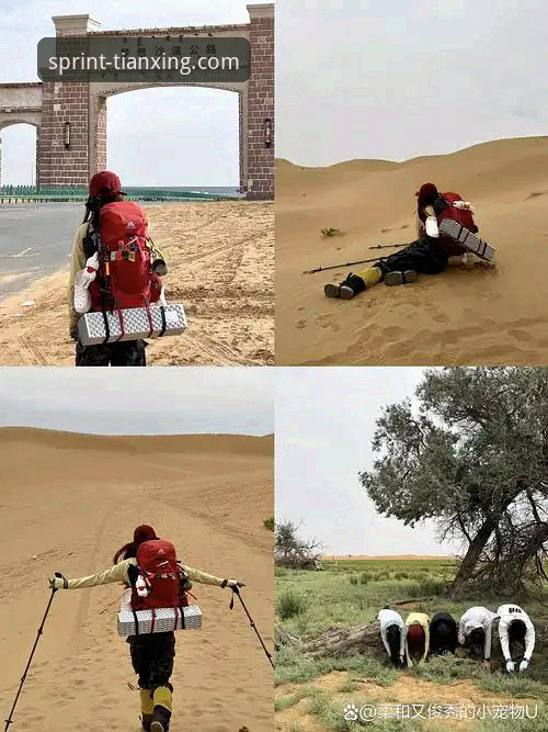资深用户分享：如何在天行体育平台追踪“沙漠大满贯”的意外插曲与观赛策略