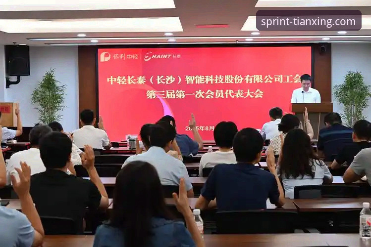天行体育数据统计 天行体育数据统计功能深度解析与实战应用教程